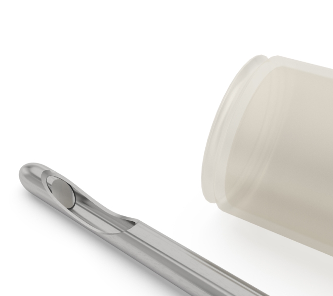 Excellence Elegance (EE)